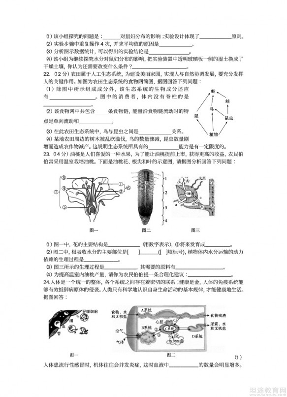 中考真题解析