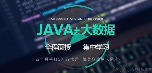 java大数据编程_java语言与大数据_c#和java 大数据