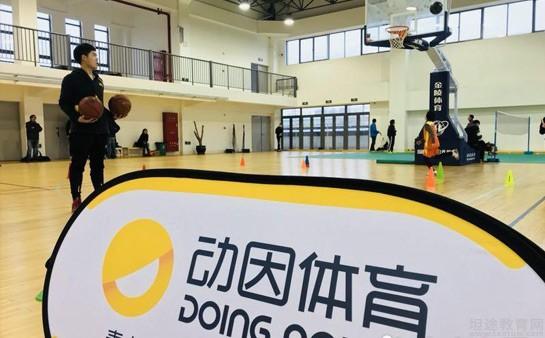 动因体育