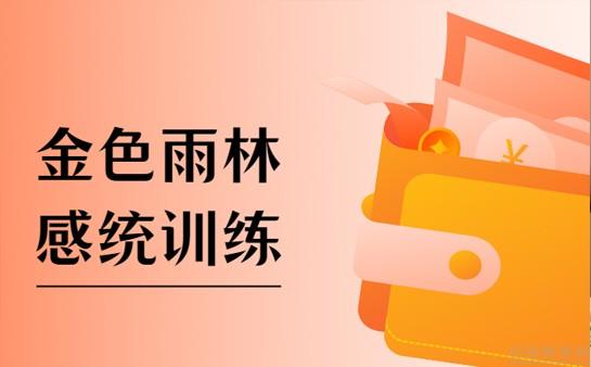 北京感統訓練哪家好推薦金色雨林