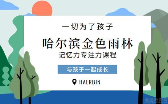 哈爾濱金色雨林記憶力專注力提升課程好嗎?_哈爾濱金色雨林