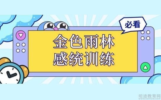 金色雨林感統收費標準金色雨林怎麼收費