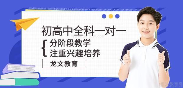 广州龙文教育地址