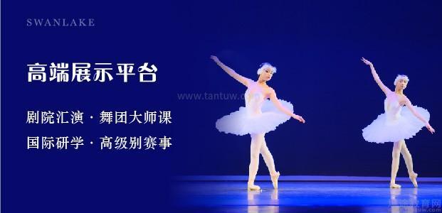 杭州天鹅湖芭蕾舞艺术中心怎么样