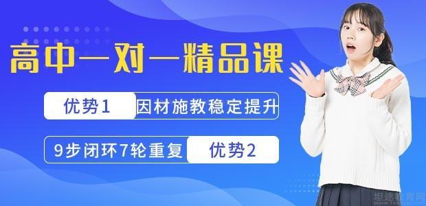 朴新教育高中辅导