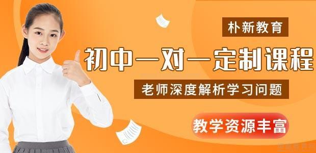朴新教育初中辅导