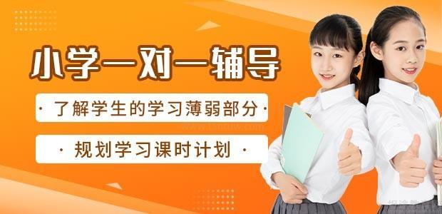 朴新教育小学辅导
