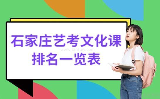 石家庄艺考文化课集训排名