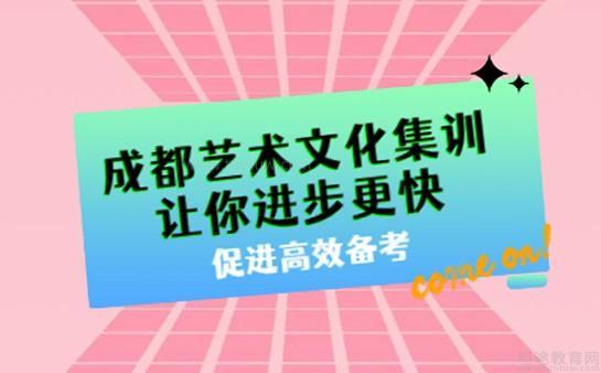 成都艺术文化集训