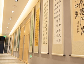 作品展示区