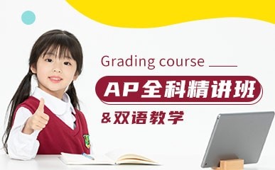 AP各科目双语一对一课程