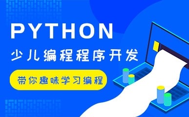  8-13岁Python编程课