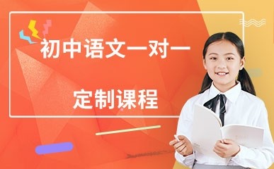 初中语文一对一定制课程