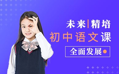 初中语文1对1培优课程