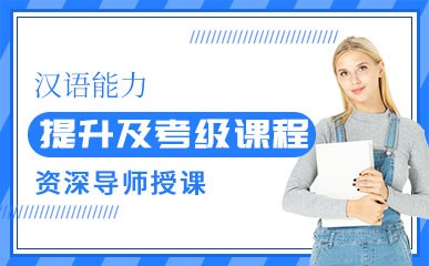 汉语能力提升及考级课程