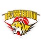 郑州虎翼国际篮球学院