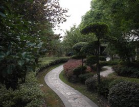 学校环境