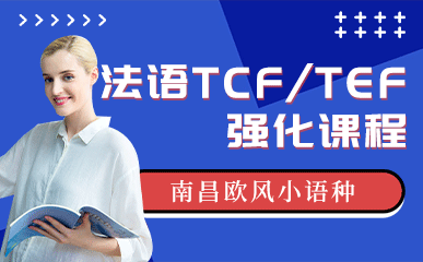 法语TCF/TEF强化课程