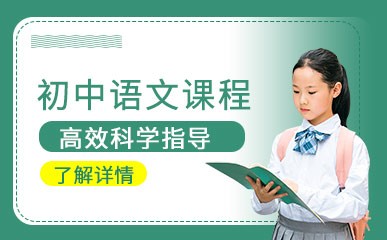 初中语文精讲定制课程