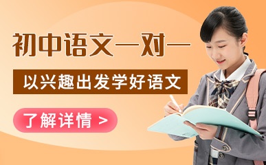 初中语文一对一课程
