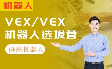 VEX/VEX机器人选拔营