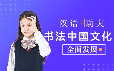 汉语+功夫/书法中国文化课程