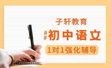 初中语文1对1经典课程