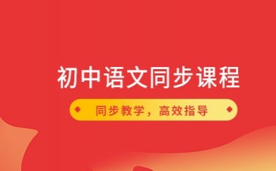 初中语文同步课程