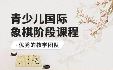 济南少儿国际象棋课程