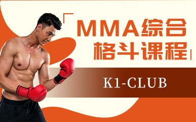 MMA综合格斗成人课程