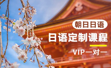 日语VIP一对一定制课程