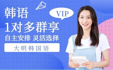 韩语VIP1对多群享培训课程
