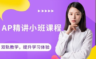 AP精讲小班课程