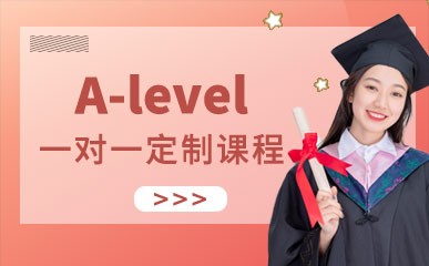 A-level一对一定制课程