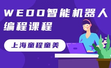 上海WeDo智能机器人编程培训