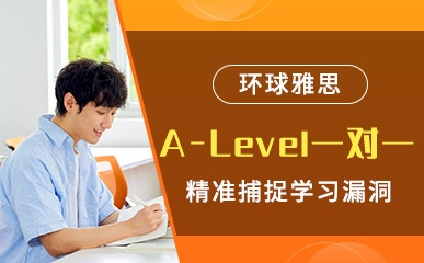 A-Level1对1个性化课程