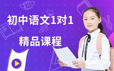 初中语文1对1精品课程