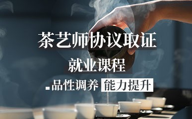 茶艺师协议取证就业课程