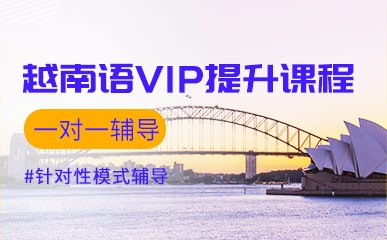 越南语VIP一对一提升课程