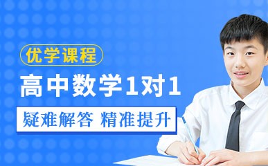 高中数学一对一优学课程