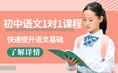 初中语文1对1提升课程