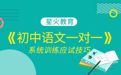 初中语文一对一精品课程
