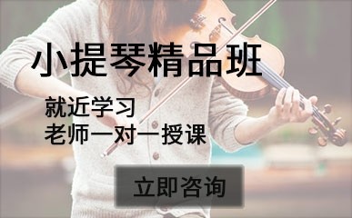 小提琴精品指导课程