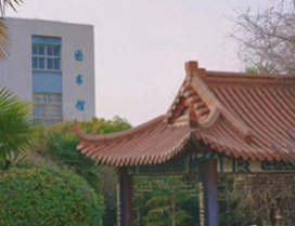 宏伟的图书馆
