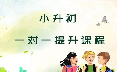 初中语文一对一基础课程
