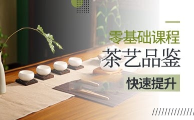 茶艺品鉴零基础课程