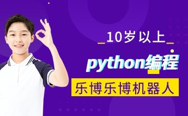 10岁+python编程课程