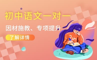 初中语文一对一精讲定制课程