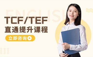 TCF/TEF直通提升课程