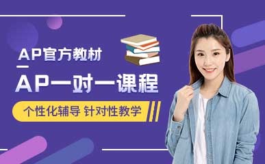 AP一对一精品课程